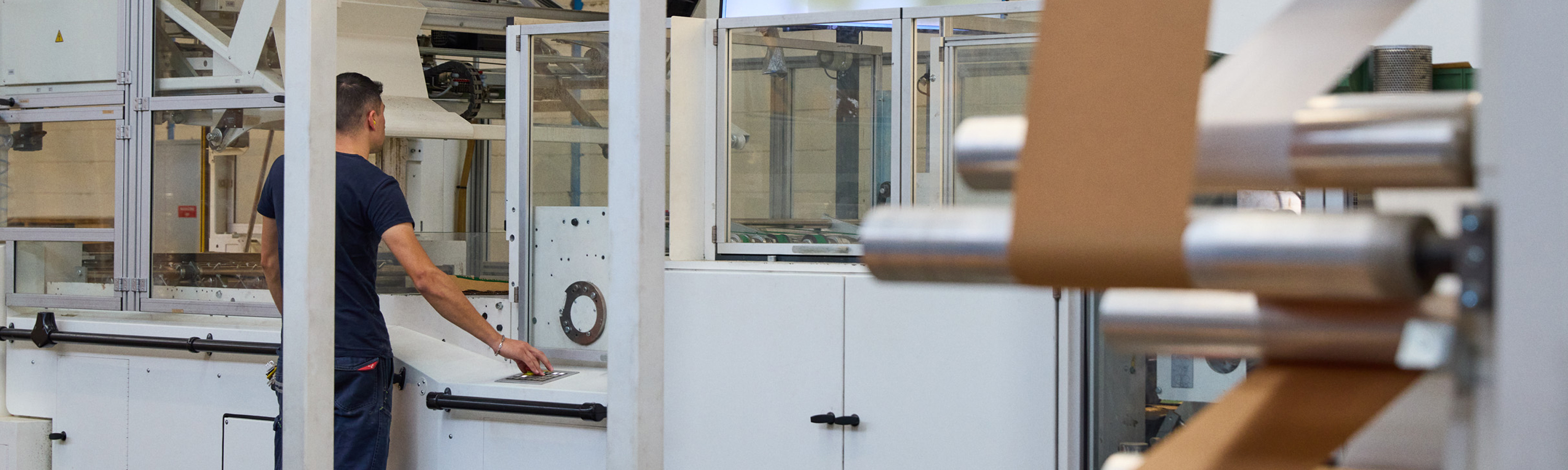 Esperienza a tutto tondo di SIS