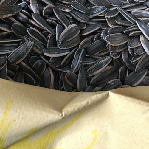 Dettaglio fotografico sacco Nofat